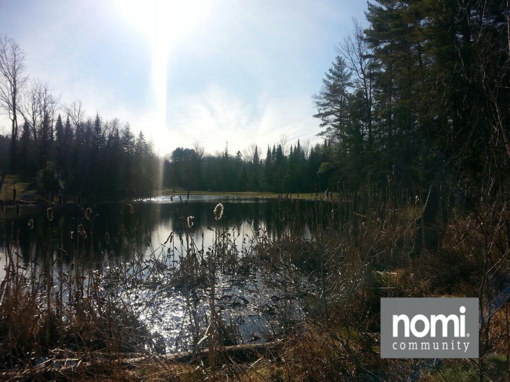 Nomi Resort Harcourt Bagian luar foto